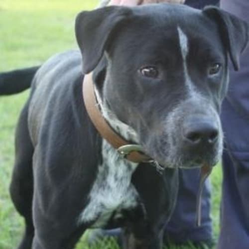 No photo for Beautiful Young Girl Needs Foster