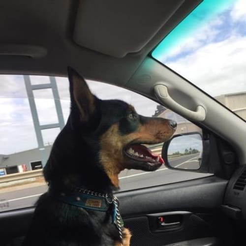 Haych **On Trial With My New Family**