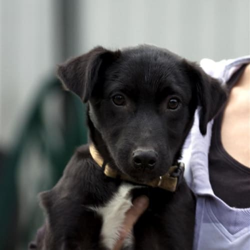 No photo for Jett *On Trial With My New Family*