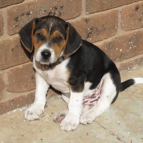 No photo for Elvis *On Trial In His New Home*