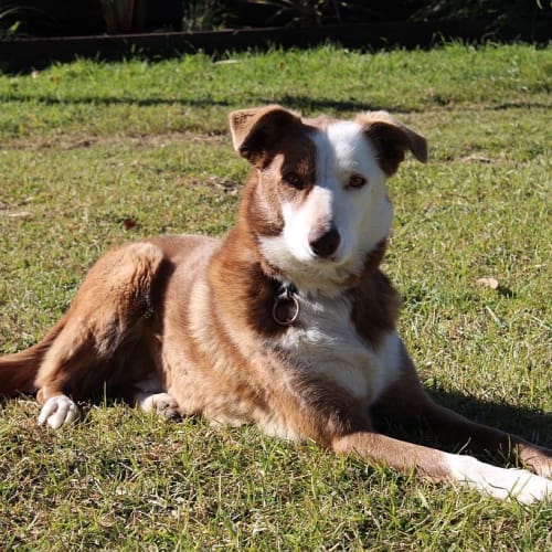 No photo for Gus *On Trial With My New Family*
