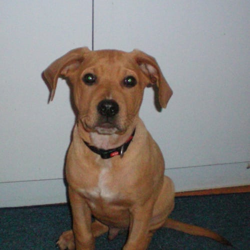 No photo for Benson *On Trial In His New Home*