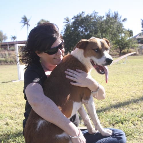 No photo for Irish (Hd151) *Adoption Pending*