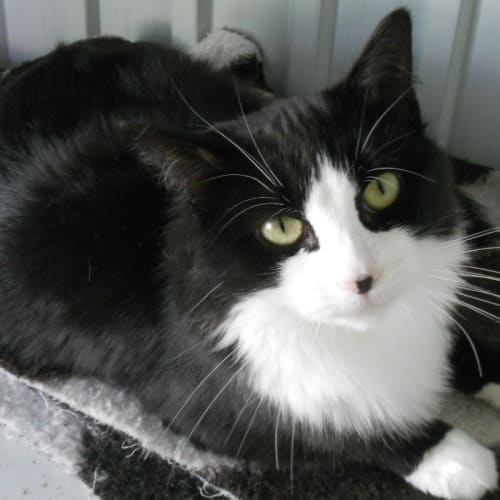 Letisha *Adopted : ) *