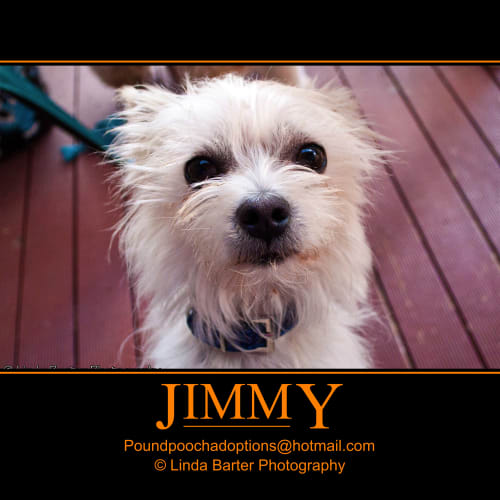 No photo for Jimmy