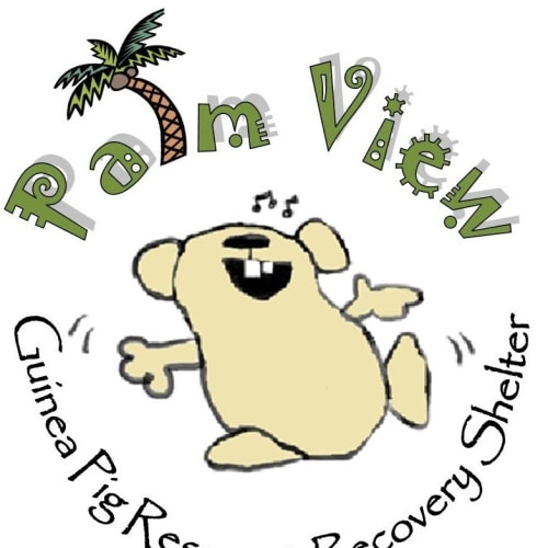 No photo for Ping   On Hold