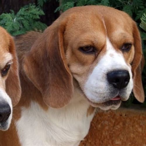 No photo for Holly & Heidi