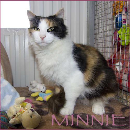 Minnie