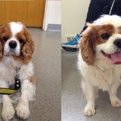 Troy and Brie * On Trial in Their New Home *