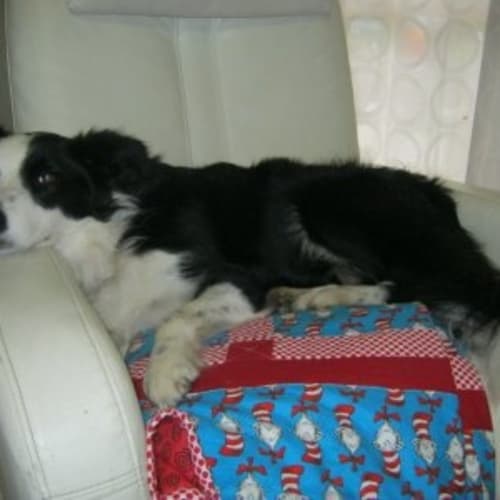No photo for Maisy