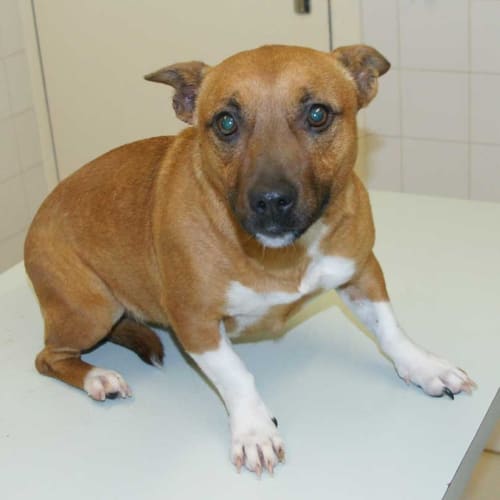 Missy 2641
