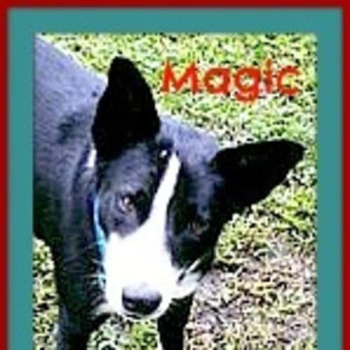 Magic