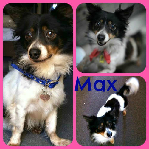 Max