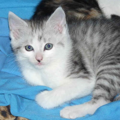 No photo for Rose (On Trial With Her New Family)