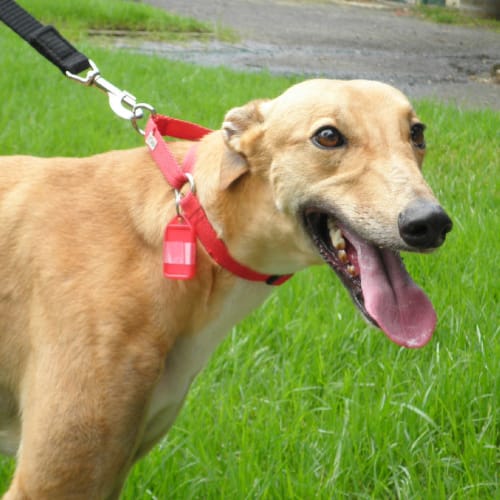 Madonna - Checking Out My New Home