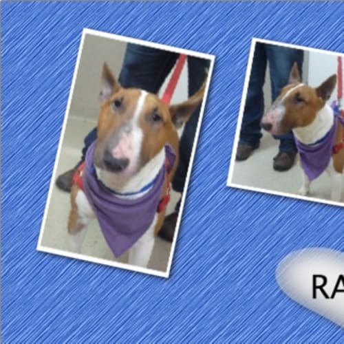 No photo for Razor