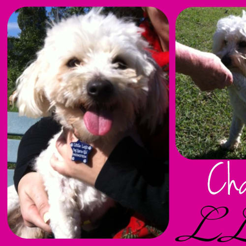 No photo for Charlie