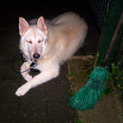 No photo for Heidi (On Trial With Her New Family)