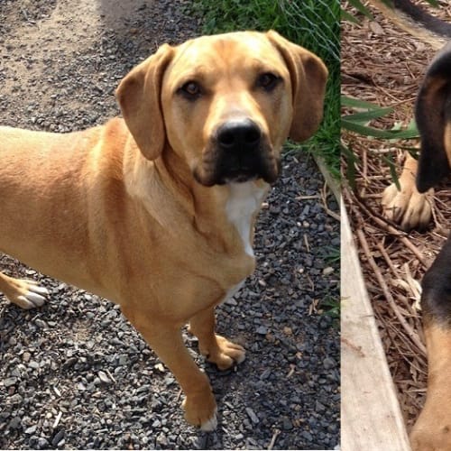 No photo for Zena And Zeus