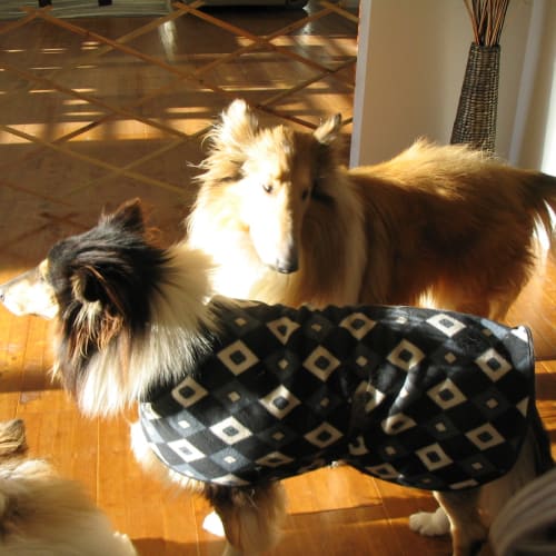 Cody & Tahnee