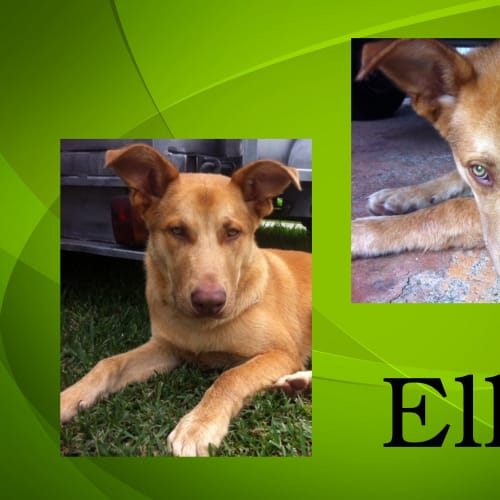 No photo for Elliot