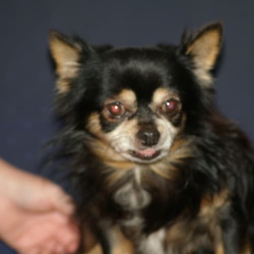No photo for Ralphy