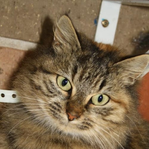 No photo for Tabitha