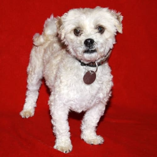 No photo for Raffy
