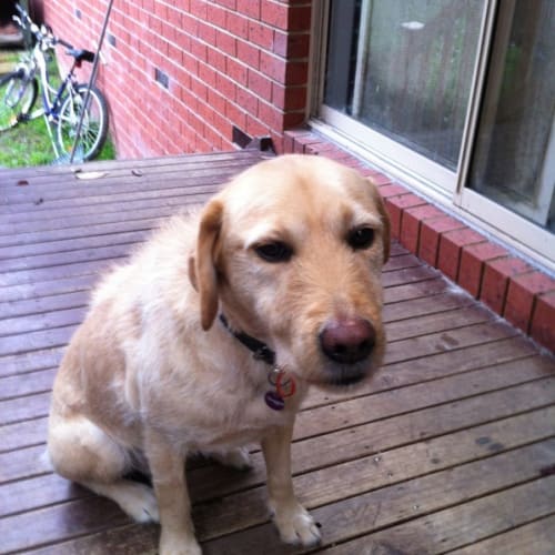 No photo for Maggie (No More Enquiries Please)