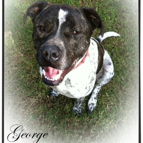 No photo for George