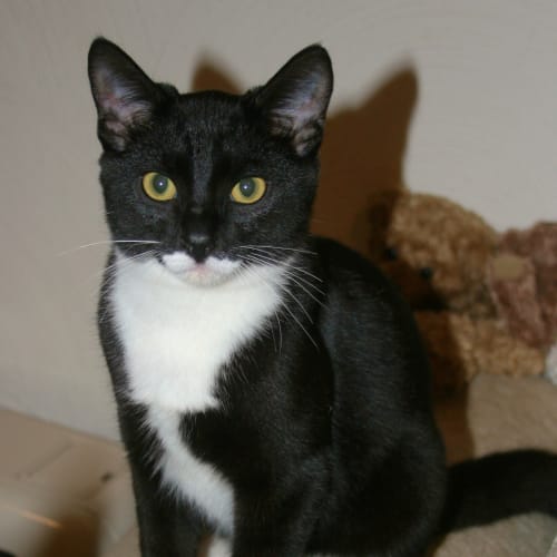 No photo for **Gone On Trial With My New Family**Tom