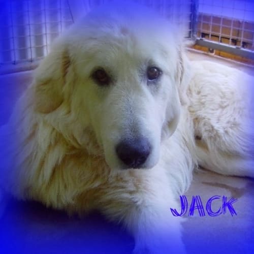 No photo for Jack