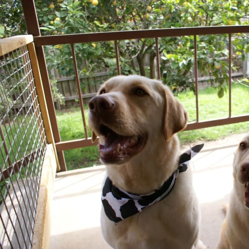 No photo for Urgent   John And Summer (No More Enquiries Pleas)