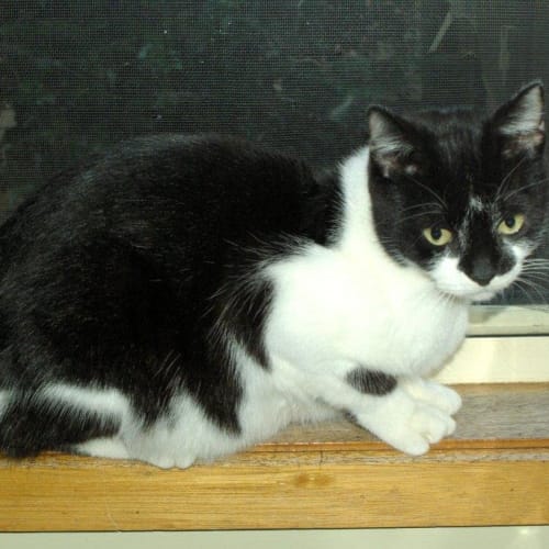 No photo for Mel (Mel Is On Trial With Her New Family)