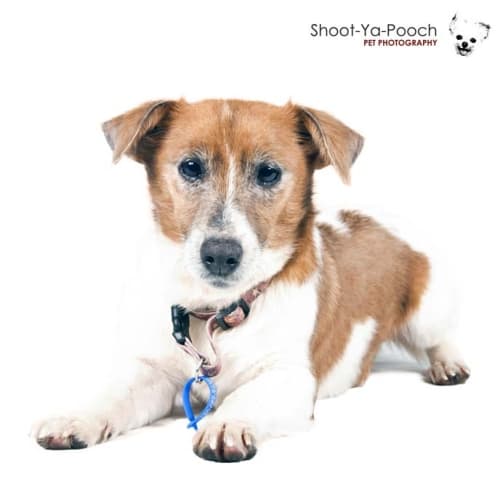 No photo for Stroker  (On Trial)