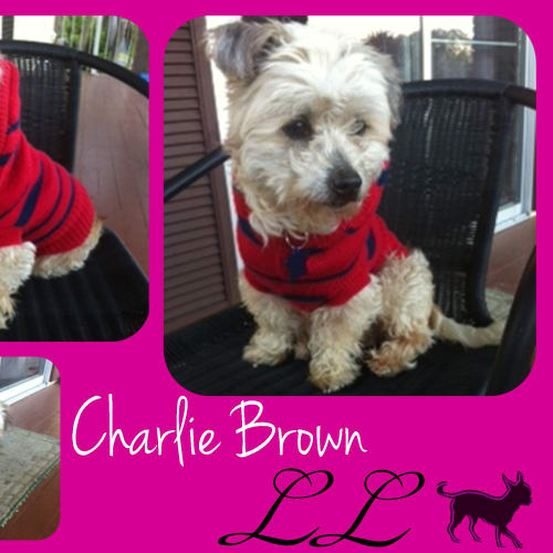 Charlie Brown