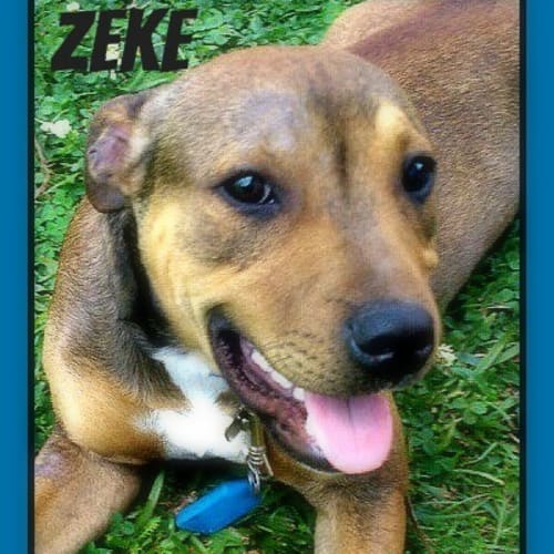 No photo for Zeke