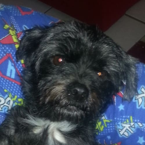 No photo for Ebony