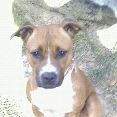 No photo for Mia   Going On Trial!!!!!