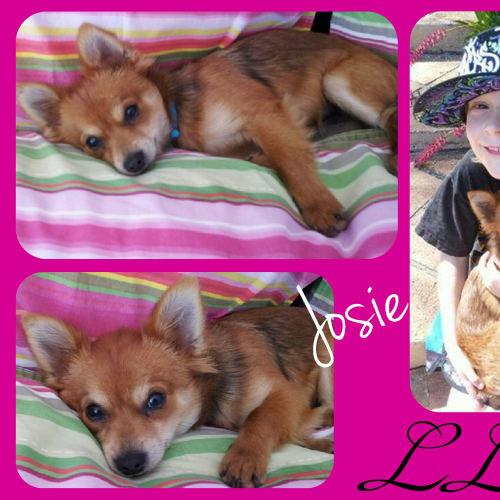 Josie