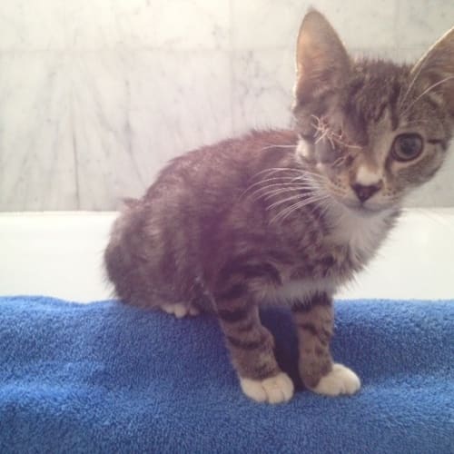 No photo for Bert And Ernie