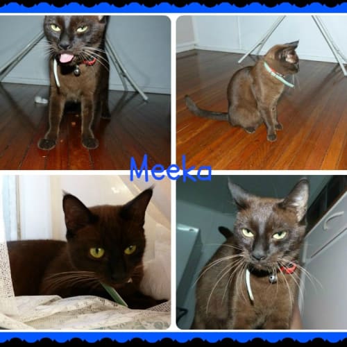 No photo for Meeka