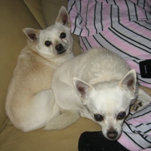No photo for Ziggy And Zarra