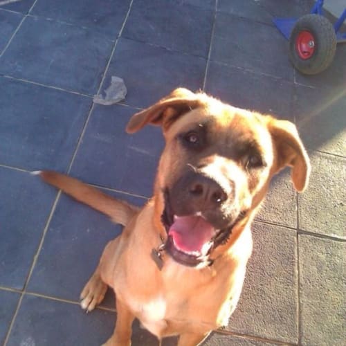No photo for **On Trial With My New Family** Jack