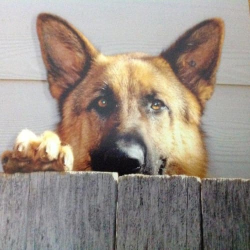 No photo for Titan