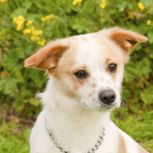No photo for Tucker Id 8623