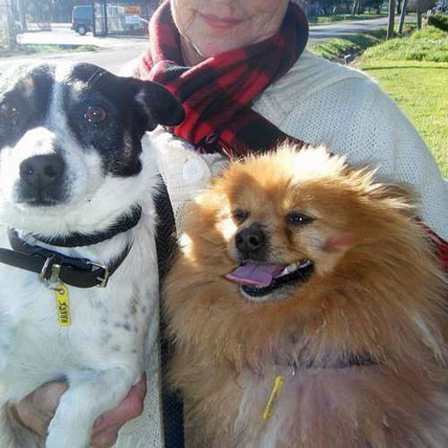 No photo for Kymii & Ozzie Male & Female To Be Adopted Together