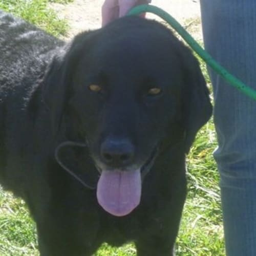 No photo for Felkie 605211