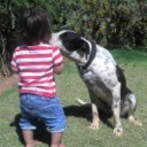 No photo for Marley (D2167)