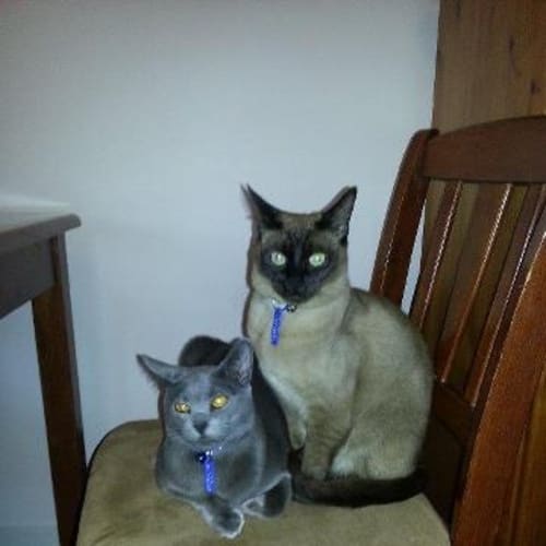 No photo for Archer And Achilles